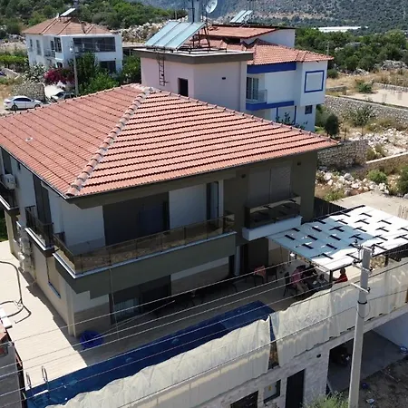 Suha * Zümrütkaya
